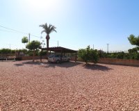 Reventa - Finca - Albatera - Albatera - Country