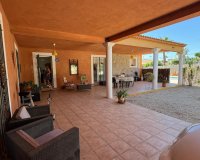 Reventa - Finca - Albatera - BARRANCO SAN CAYETANO