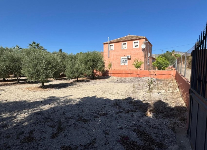 Reventa - Finca - Albatera - BARRANCO SAN CAYETANO