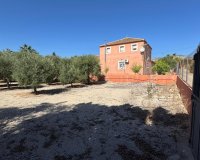 Reventa - Finca - Albatera - BARRANCO SAN CAYETANO