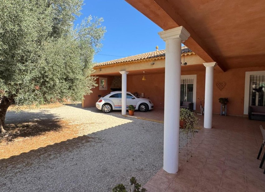 Reventa - Finca - Albatera - BARRANCO SAN CAYETANO