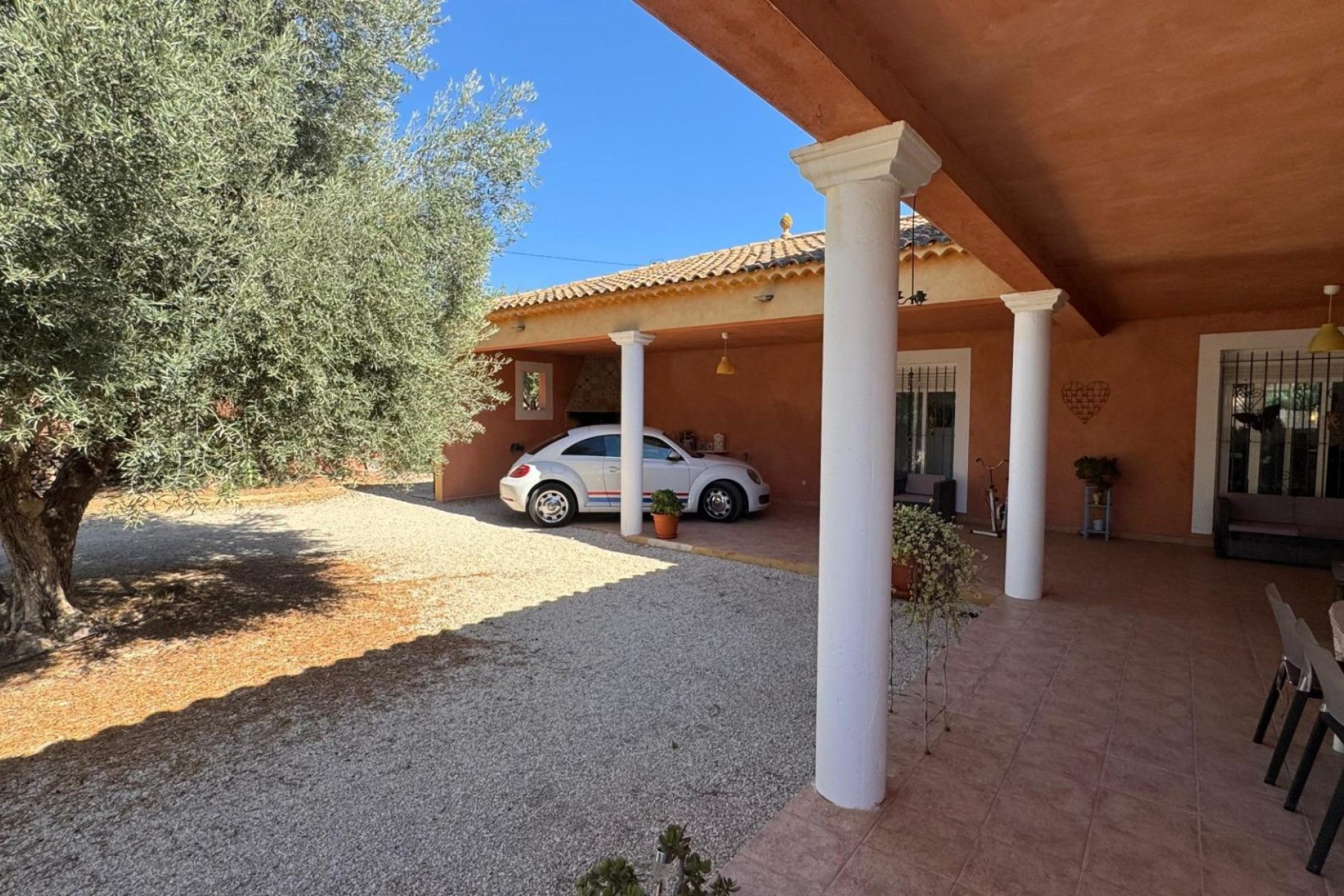 Reventa - Finca - Albatera - BARRANCO SAN CAYETANO