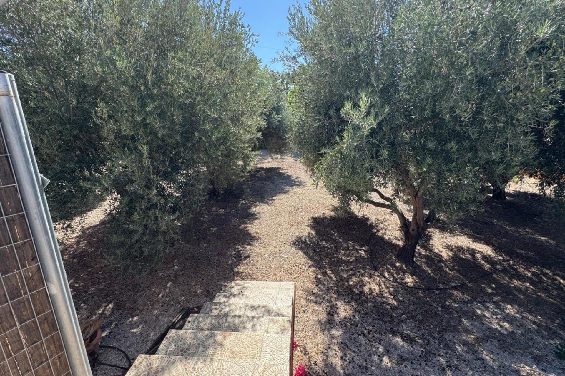 Reventa - Finca - Albatera - BARRANCO SAN CAYETANO