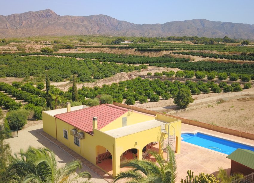 Reventa - Finca - Albatera