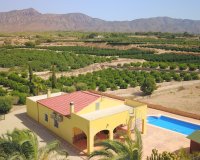 Reventa - Finca - Albatera