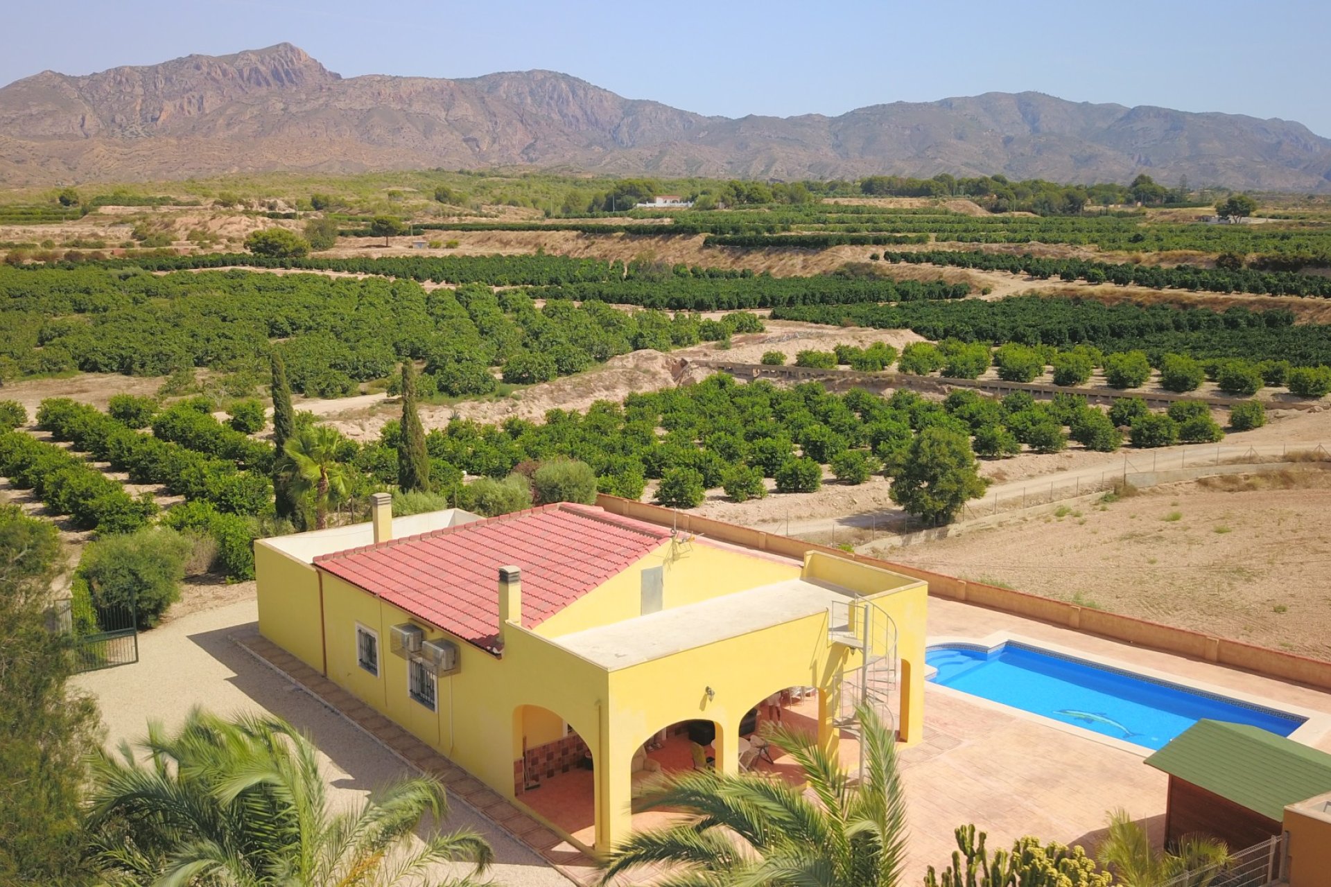 Reventa - Finca - Albatera