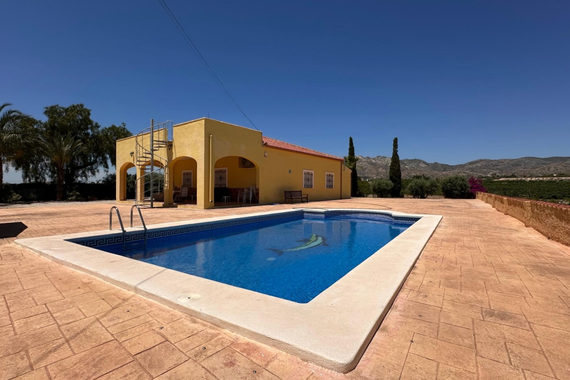 Reventa - Finca - Albatera