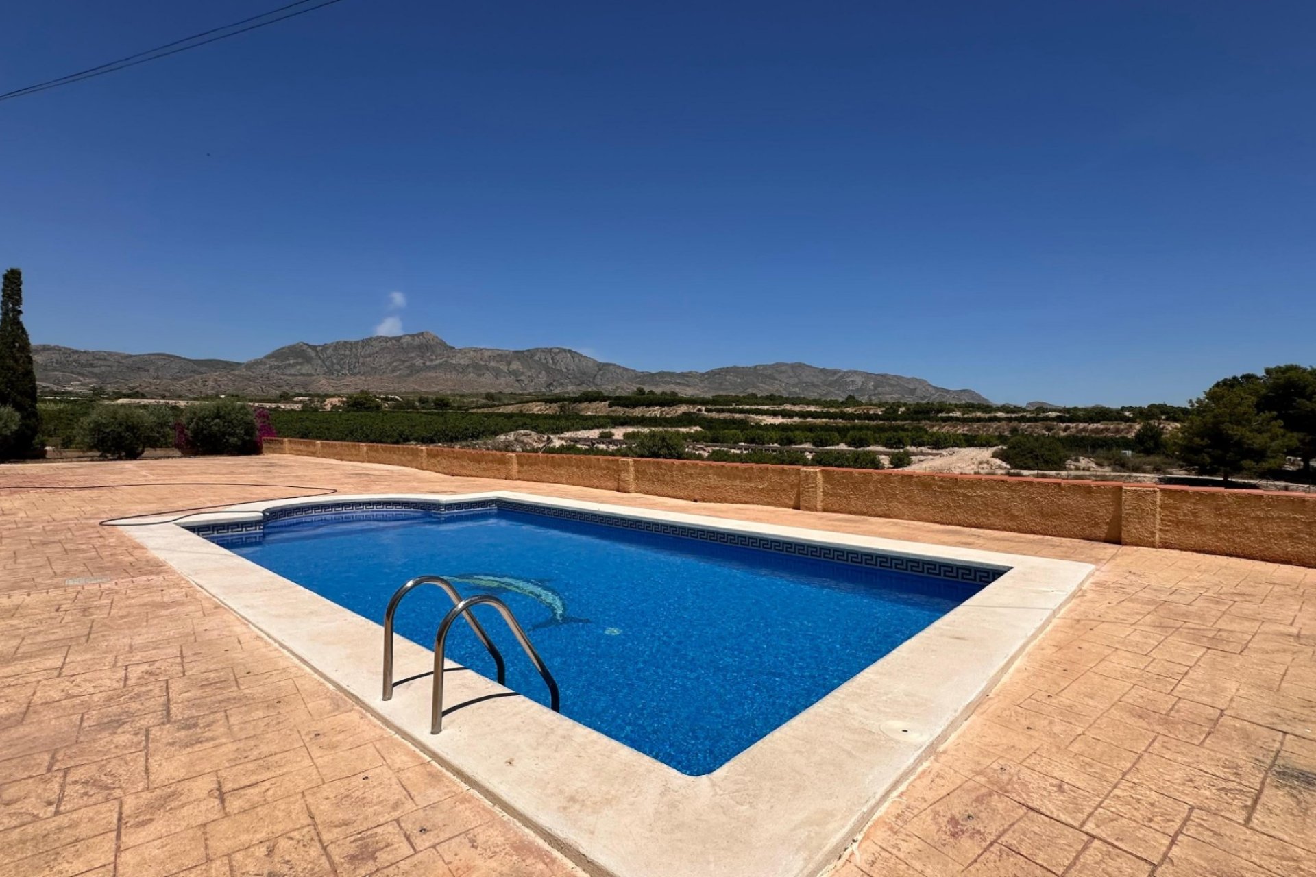 Reventa - Finca - Albatera