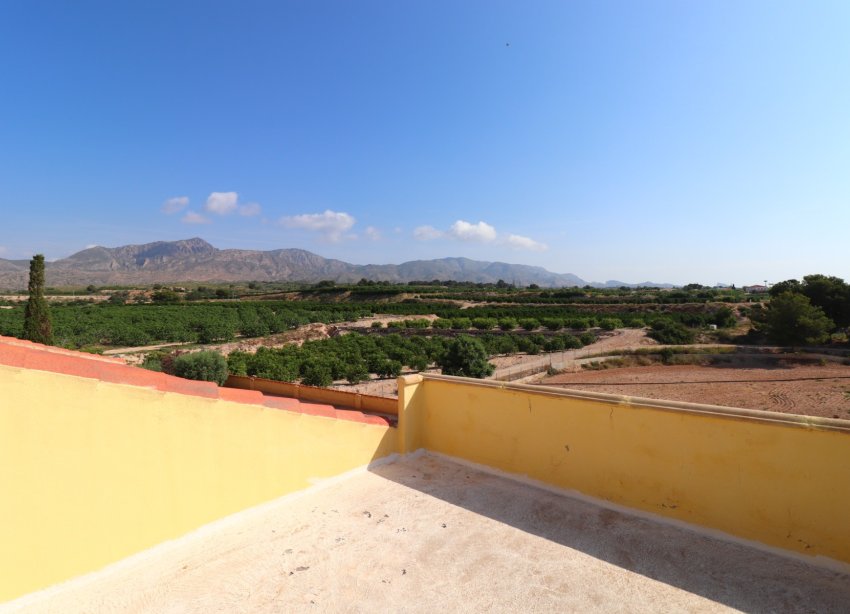 Reventa - Finca - Albatera