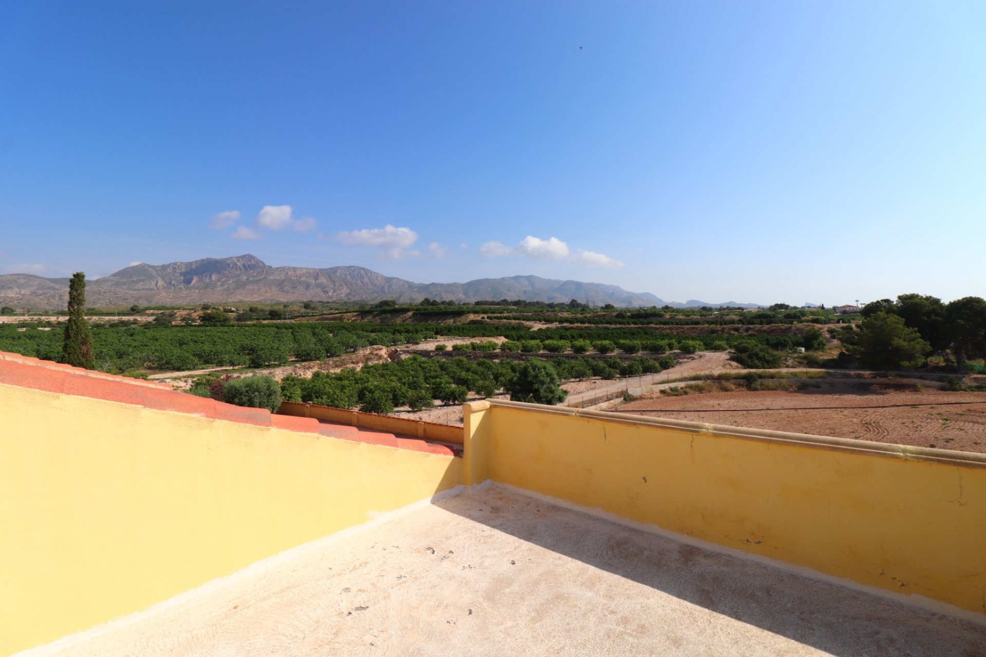Reventa - Finca - Albatera