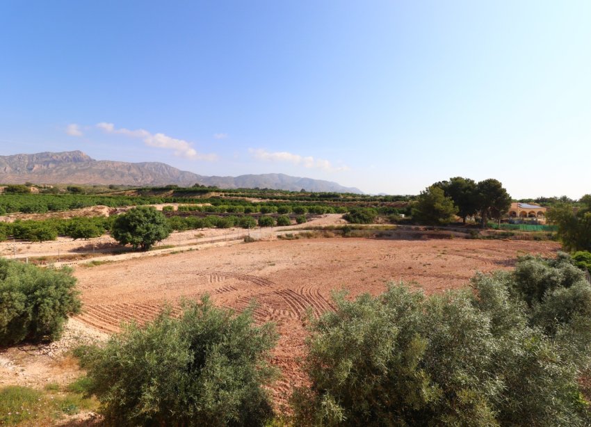 Reventa - Finca - Albatera