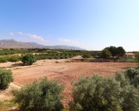Reventa - Finca - Albatera