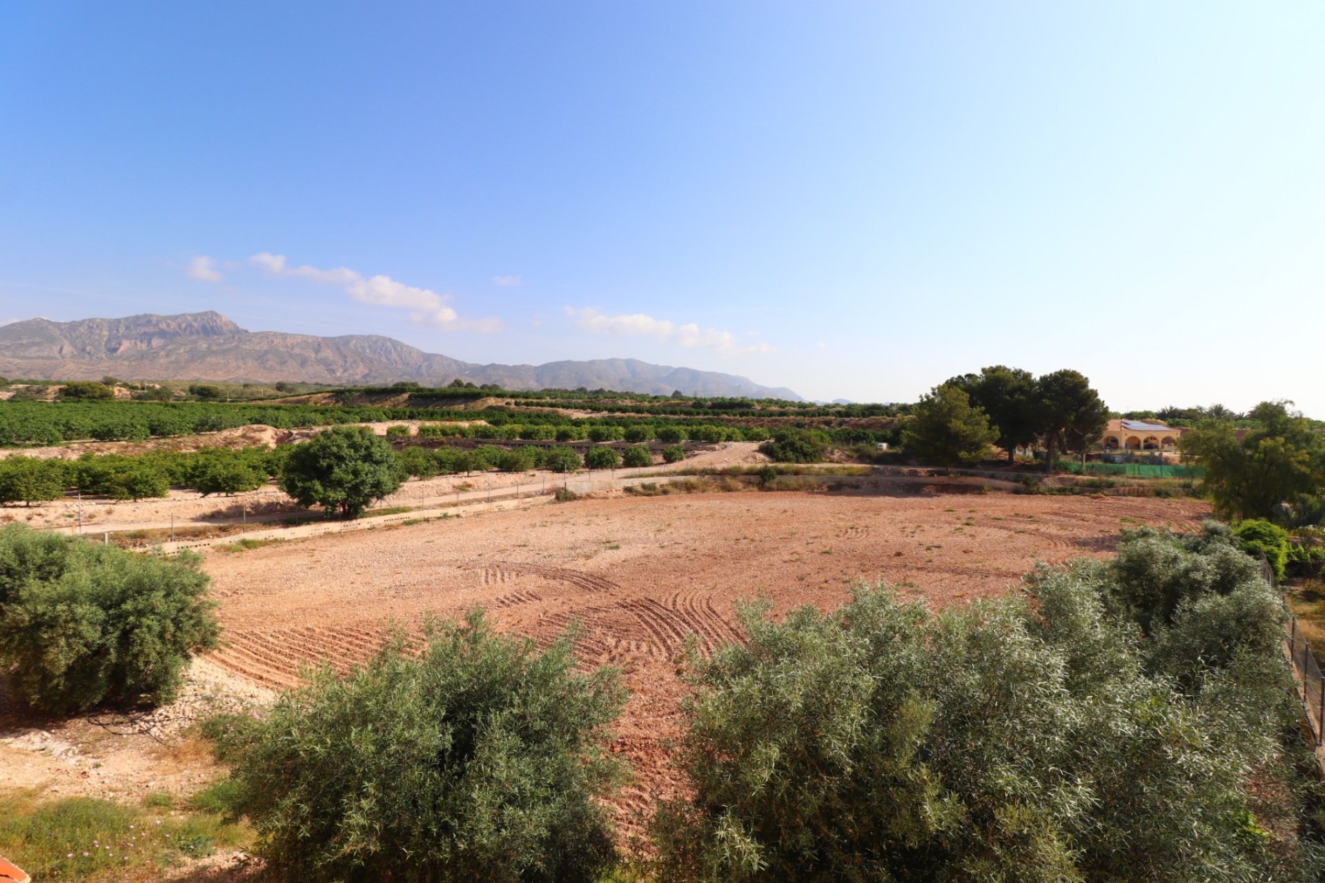 Reventa - Finca - Albatera