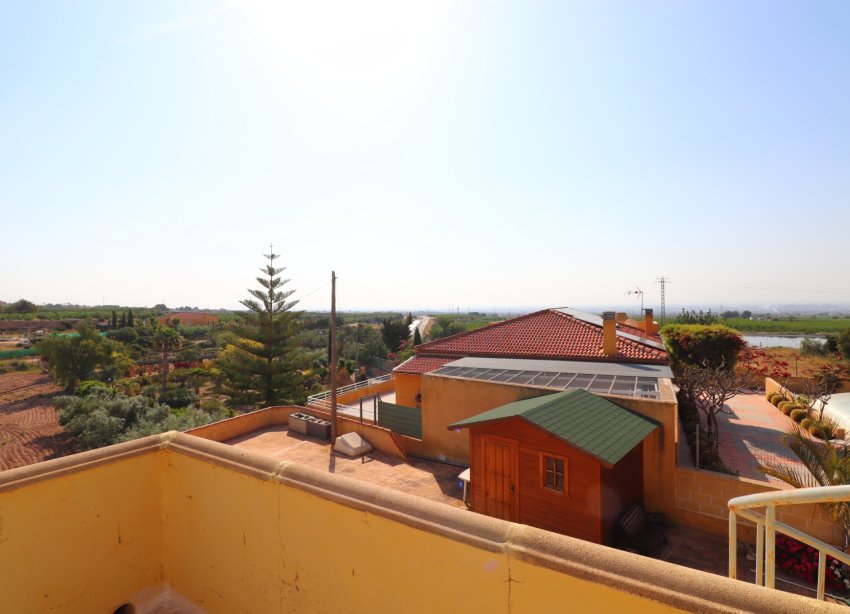 Reventa - Finca - Albatera