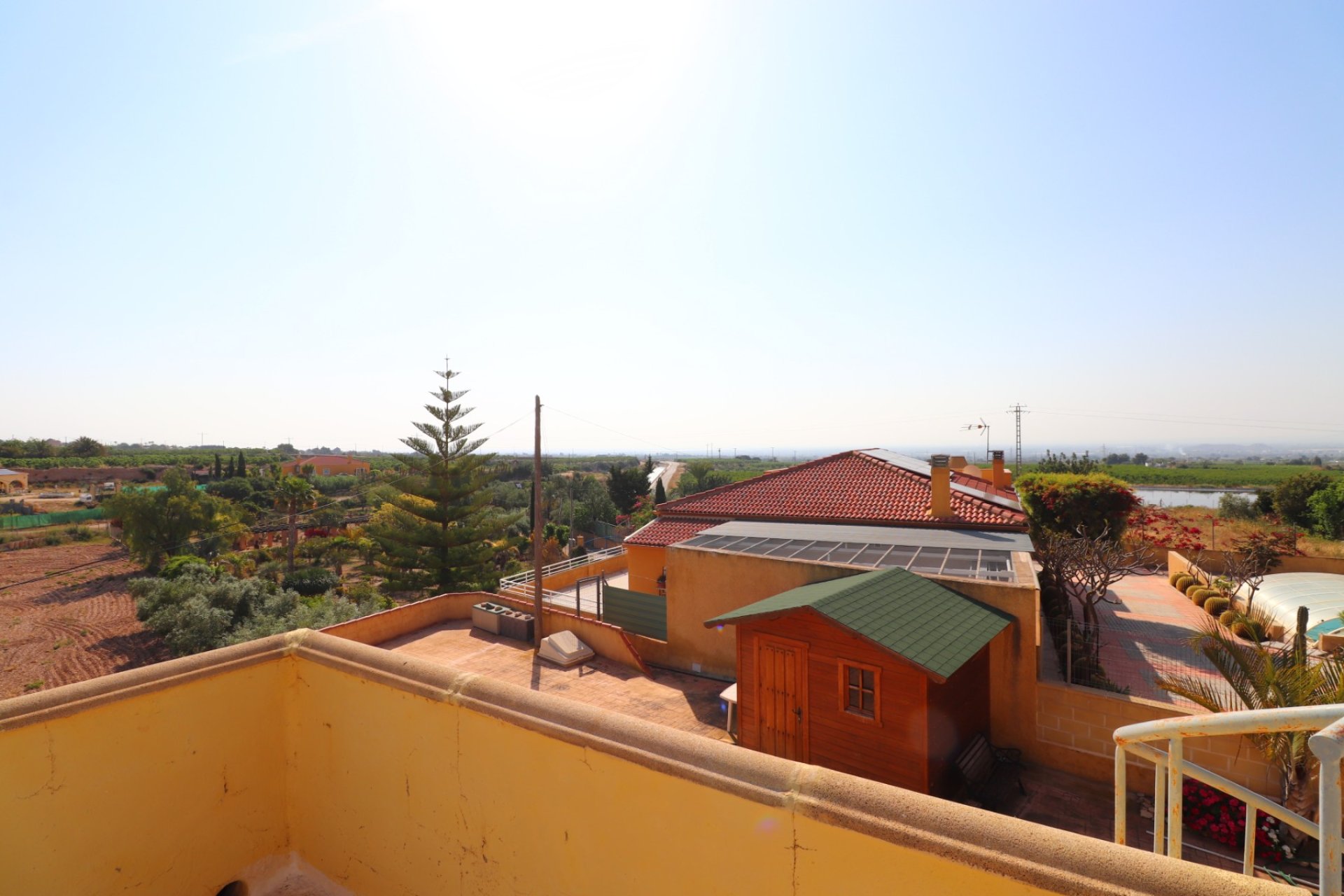 Reventa - Finca - Albatera