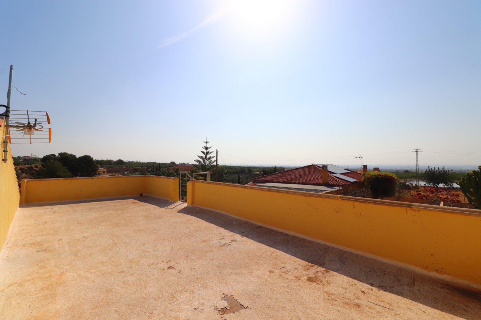 Reventa - Finca - Albatera