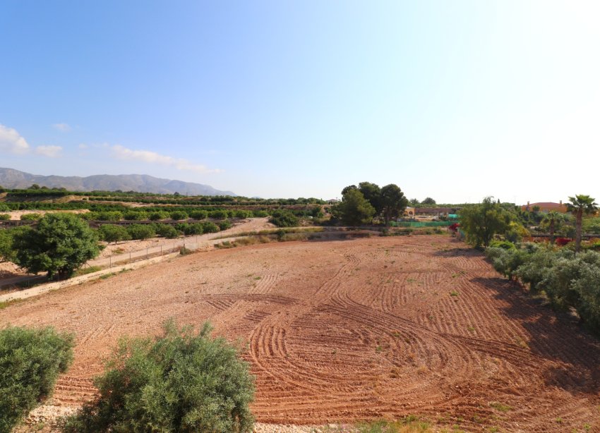 Reventa - Finca - Albatera