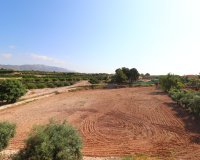 Reventa - Finca - Albatera