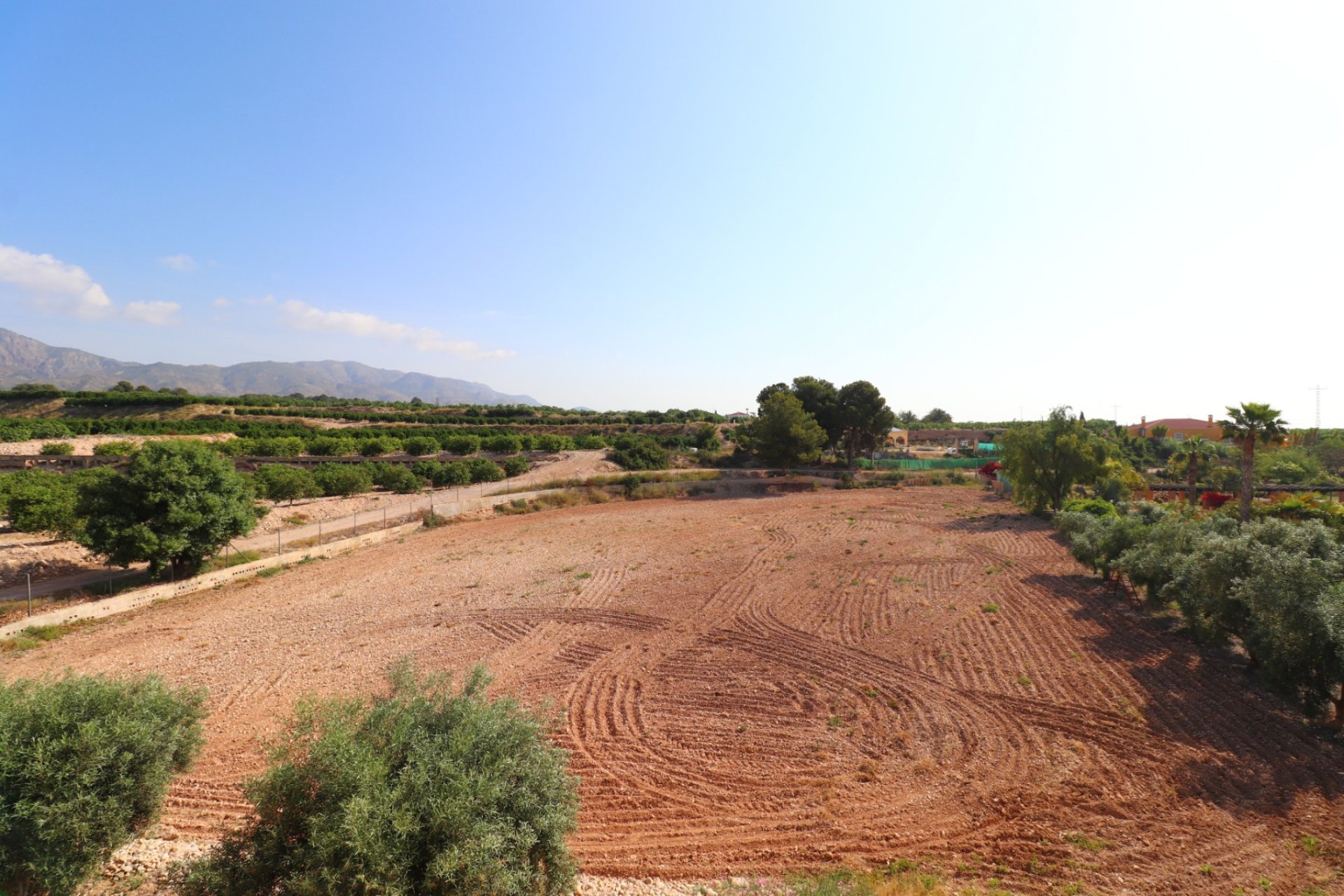 Reventa - Finca - Albatera