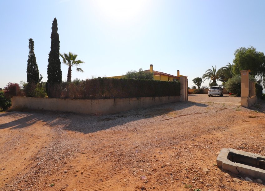 Reventa - Finca - Albatera