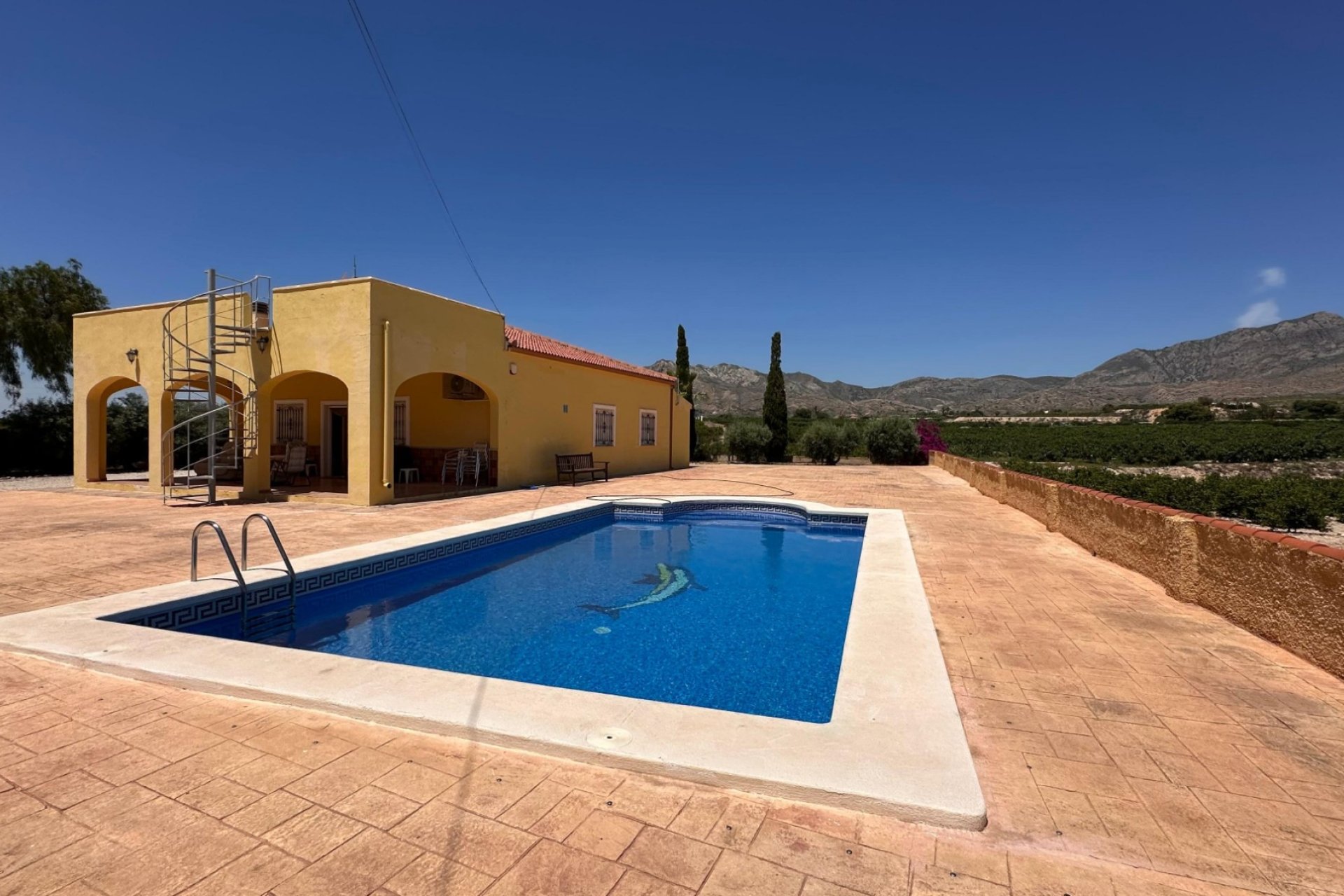 Reventa - Finca - Albatera