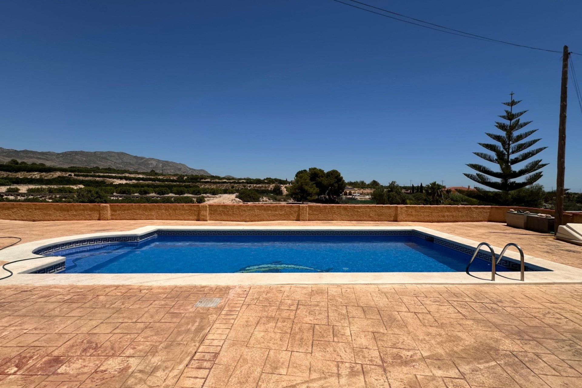 Reventa - Finca - Albatera
