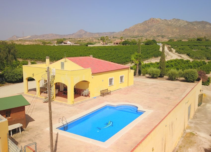 Reventa - Finca - Albatera