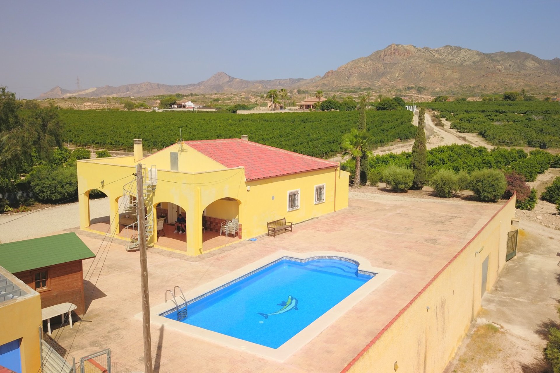 Reventa - Finca - Albatera