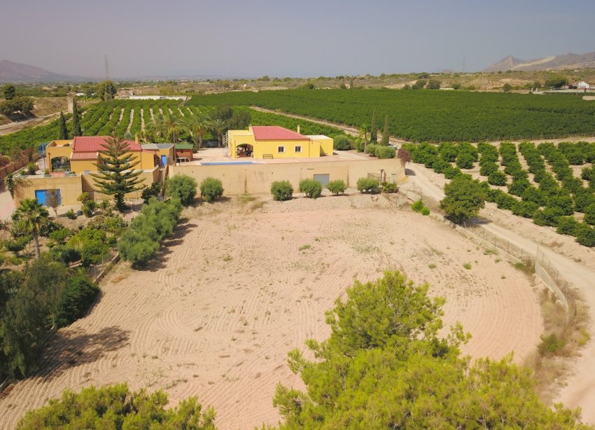 Reventa - Finca - Albatera