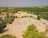 Reventa - Finca - Albatera