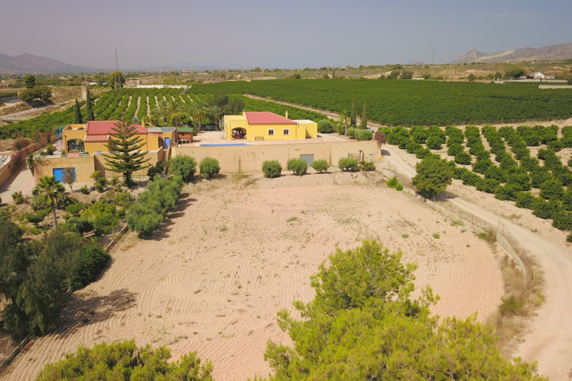 Reventa - Finca - Albatera