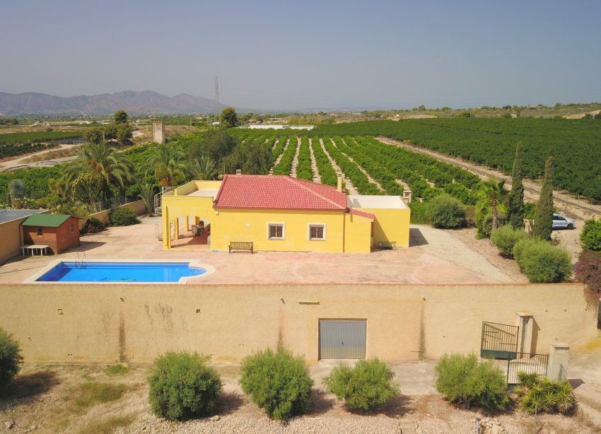 Reventa - Finca - Albatera
