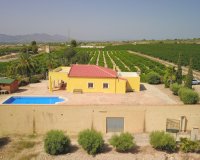 Reventa - Finca - Albatera