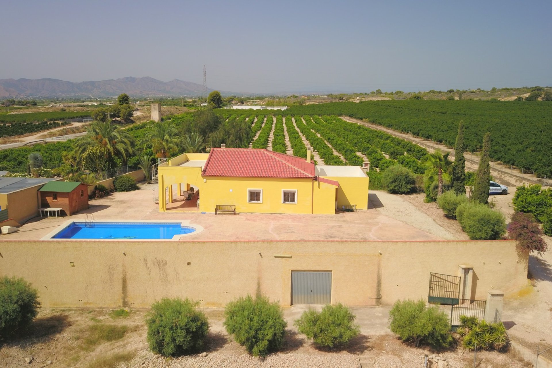 Reventa - Finca - Albatera