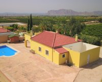 Reventa - Finca - Albatera