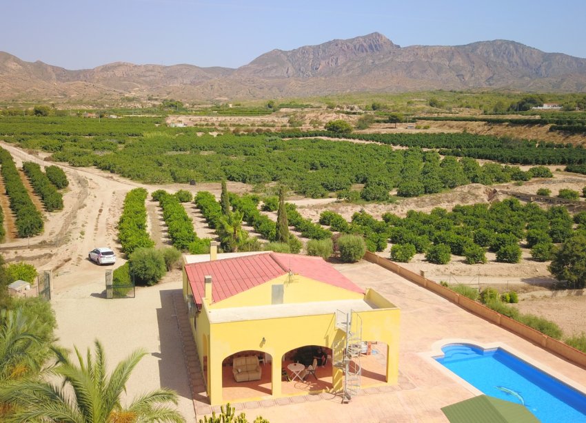 Reventa - Finca - Albatera