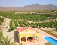 Reventa - Finca - Albatera