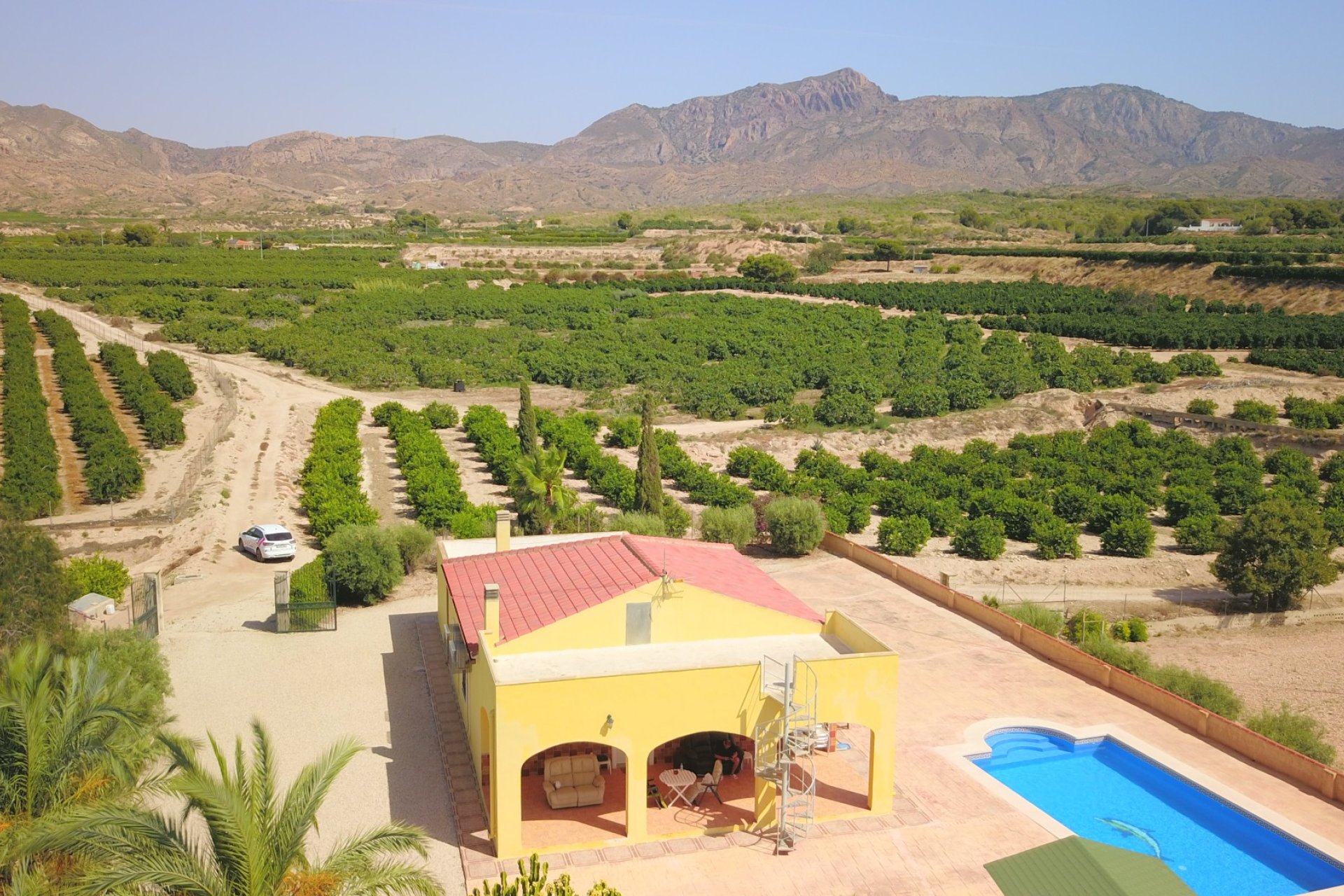 Reventa - Finca - Albatera