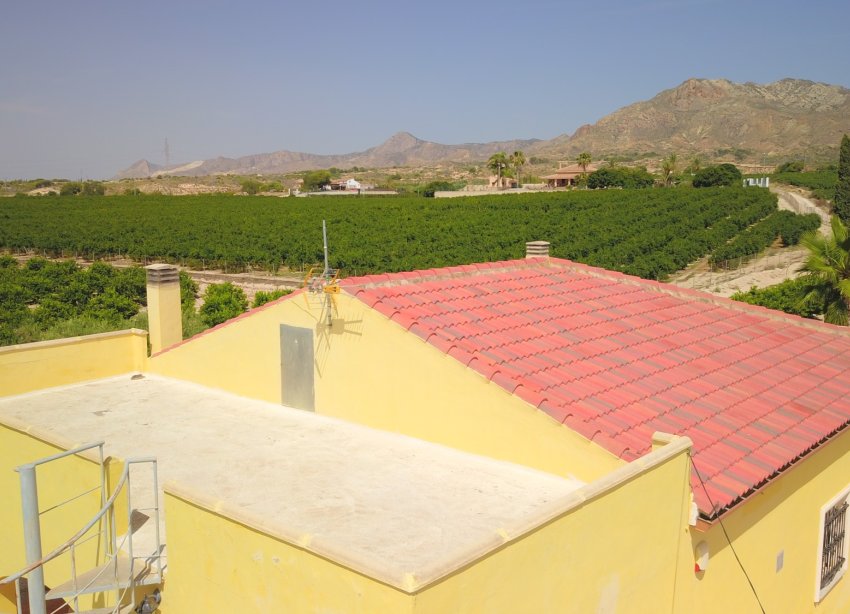 Reventa - Finca - Albatera