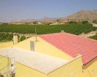Reventa - Finca - Albatera