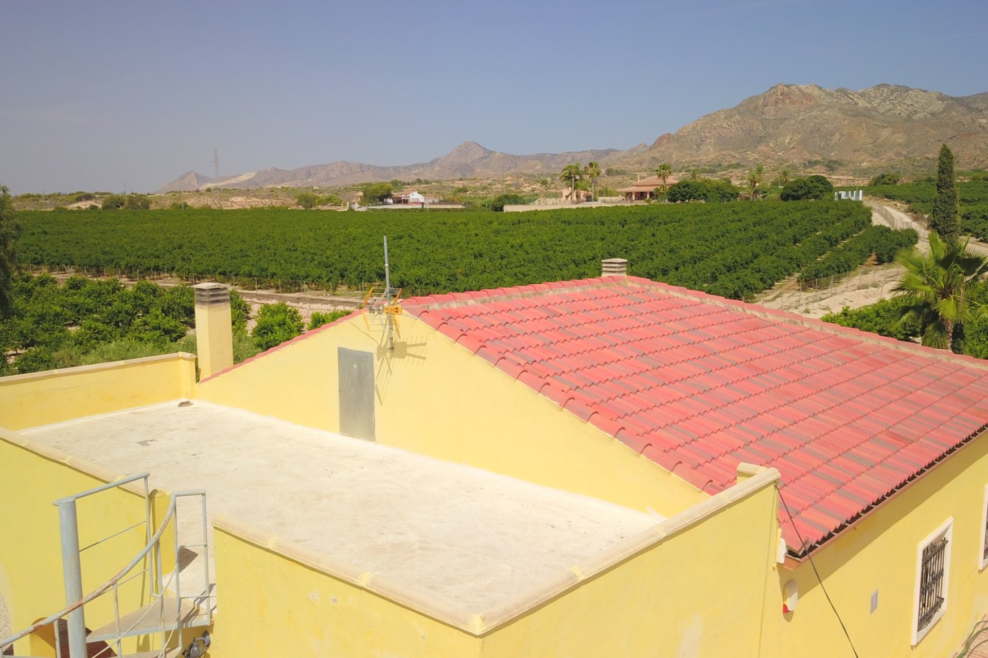 Reventa - Finca - Albatera