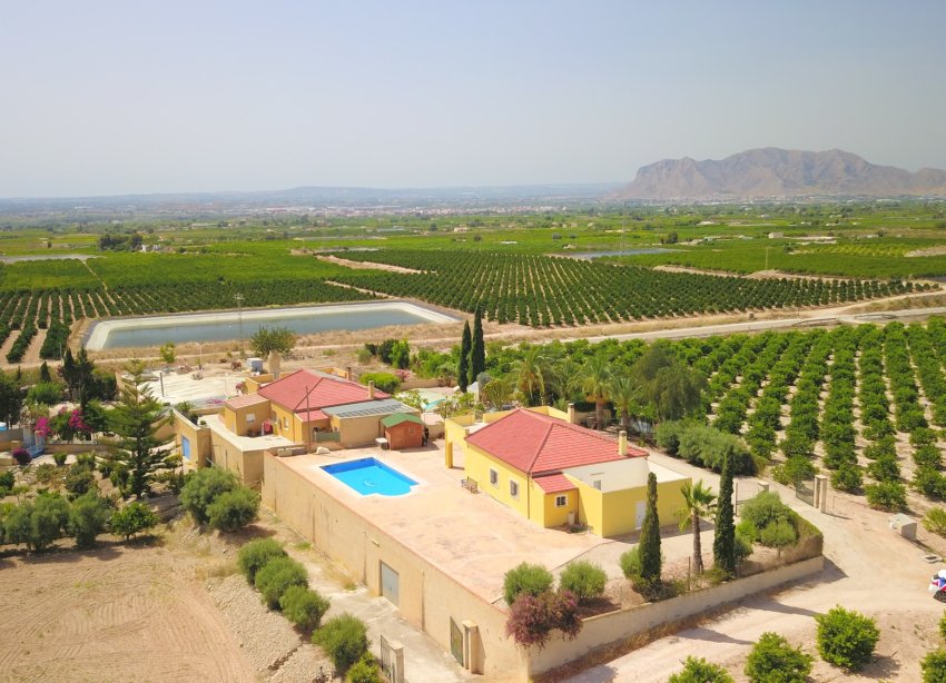 Reventa - Finca - Albatera