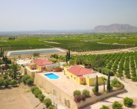 Reventa - Finca - Albatera