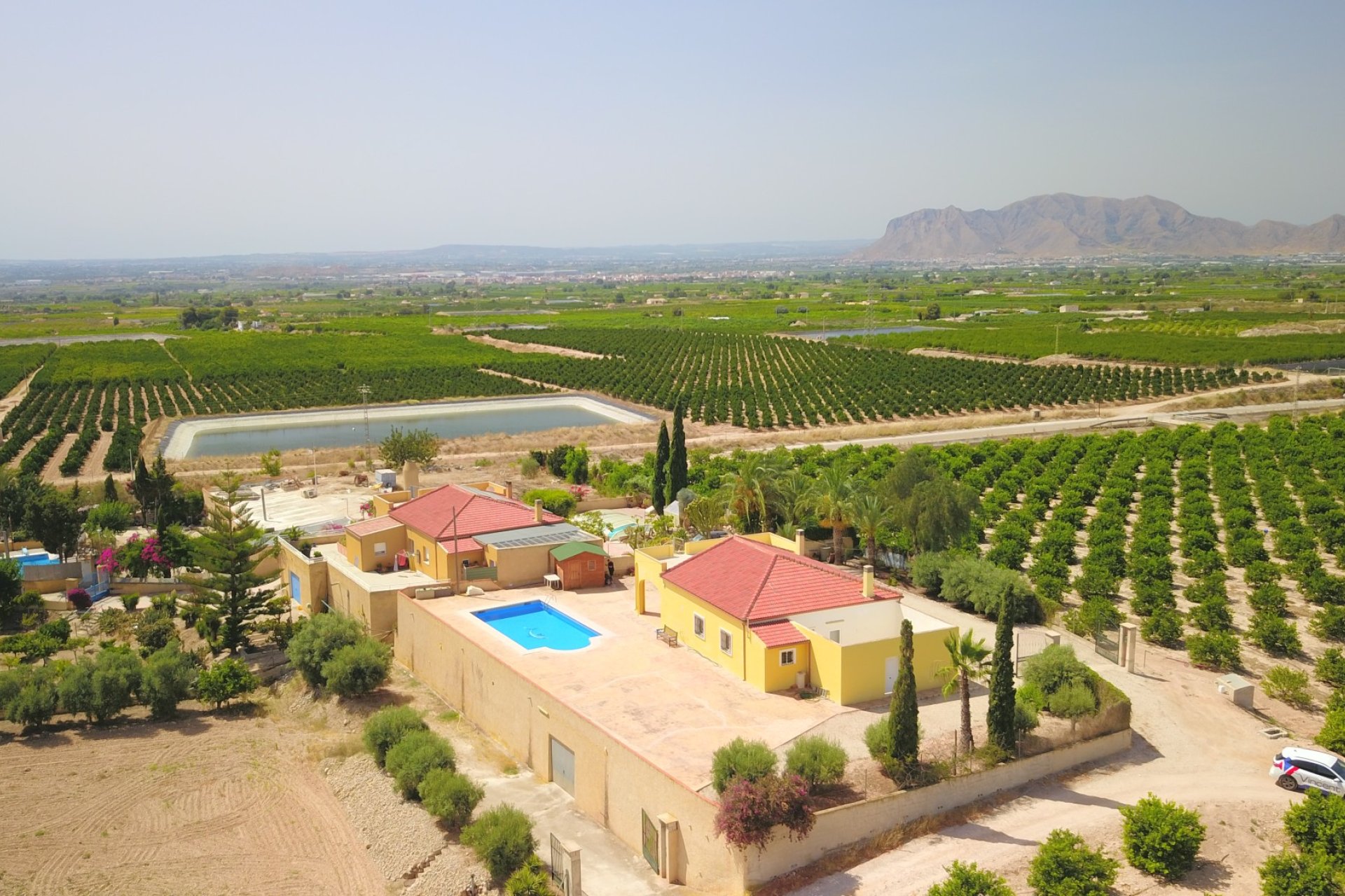 Reventa - Finca - Albatera