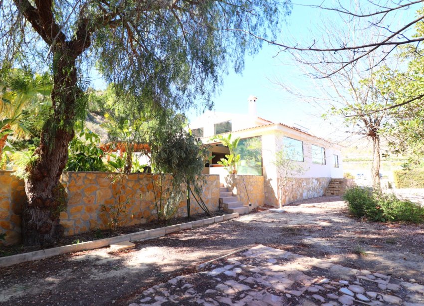 Reventa - Finca - Aspe - Aspe - Country