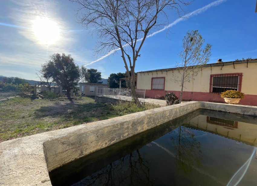 Reventa - Finca - Aspe