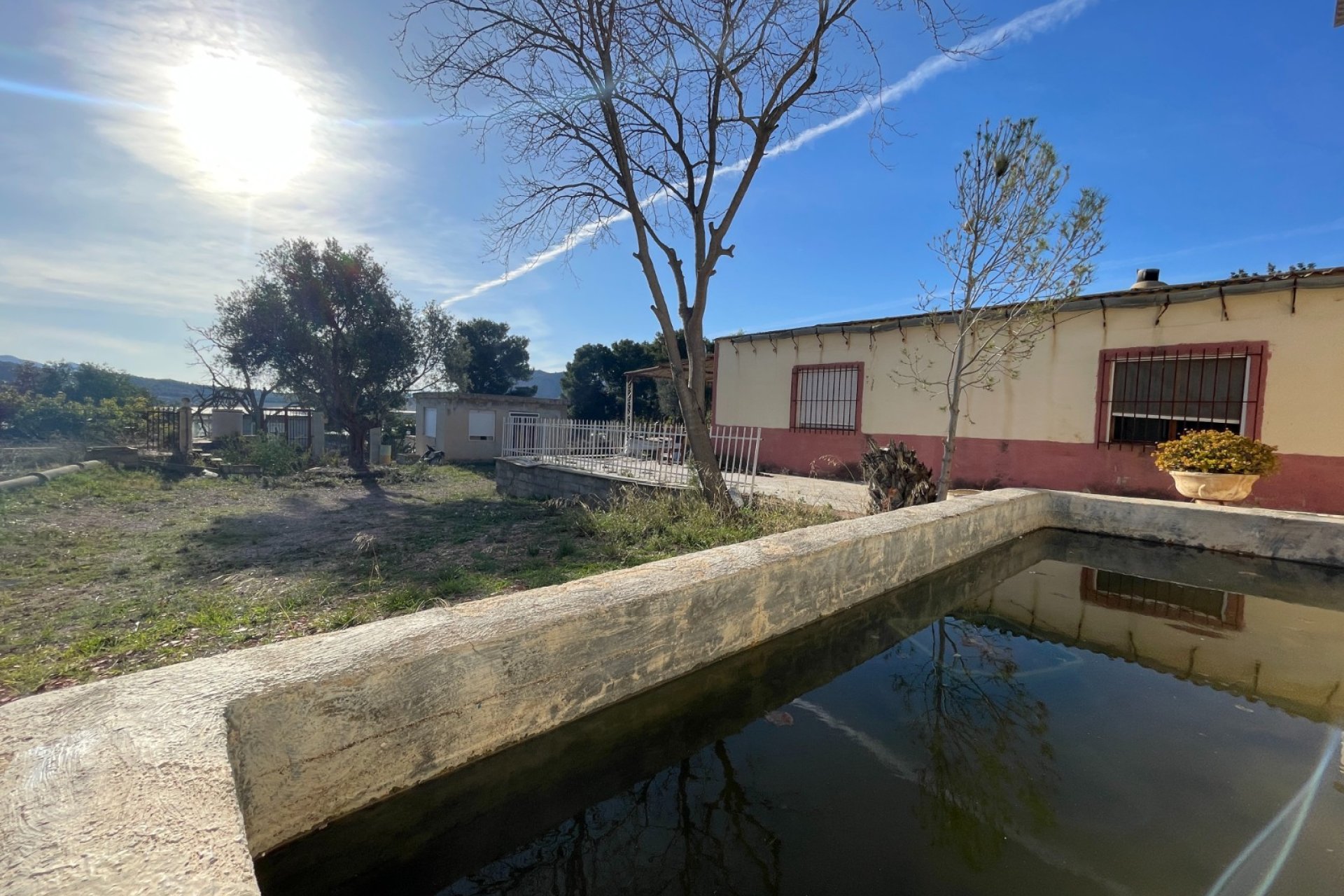 Reventa - Finca - Aspe