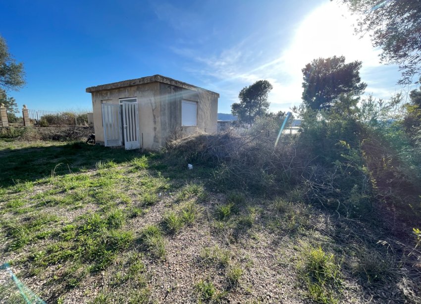 Reventa - Finca - Aspe