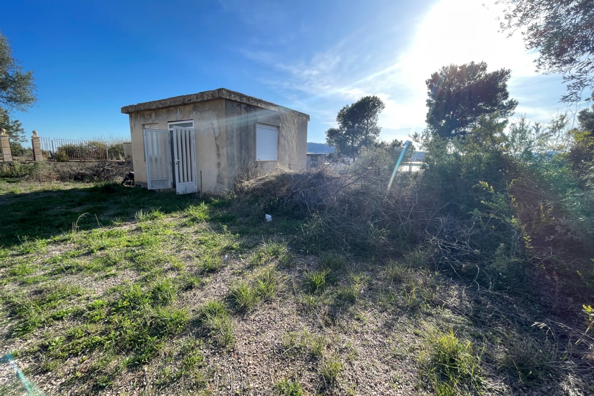 Reventa - Finca - Aspe