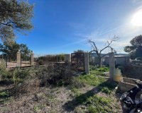 Reventa - Finca - Aspe
